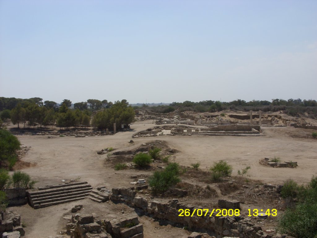 sn850251.jpg