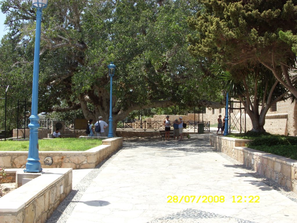 sn850300.jpg