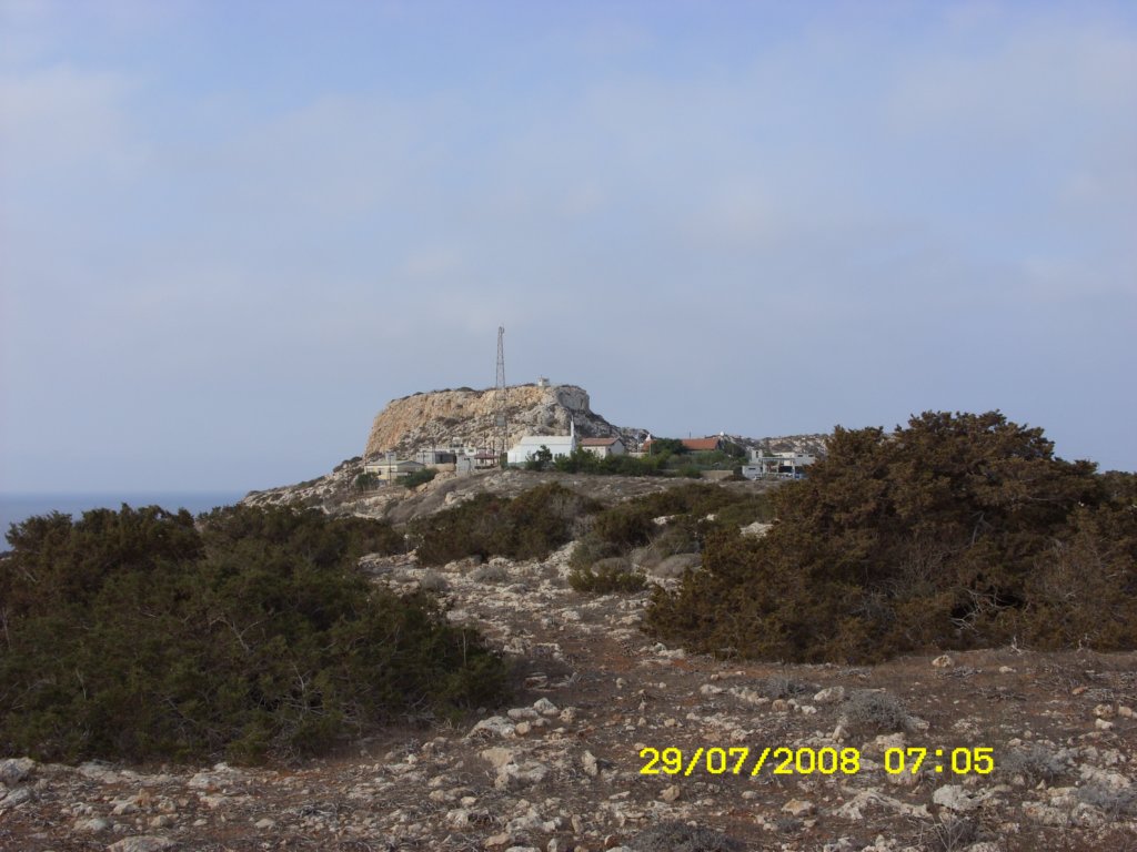 sn850309.jpg