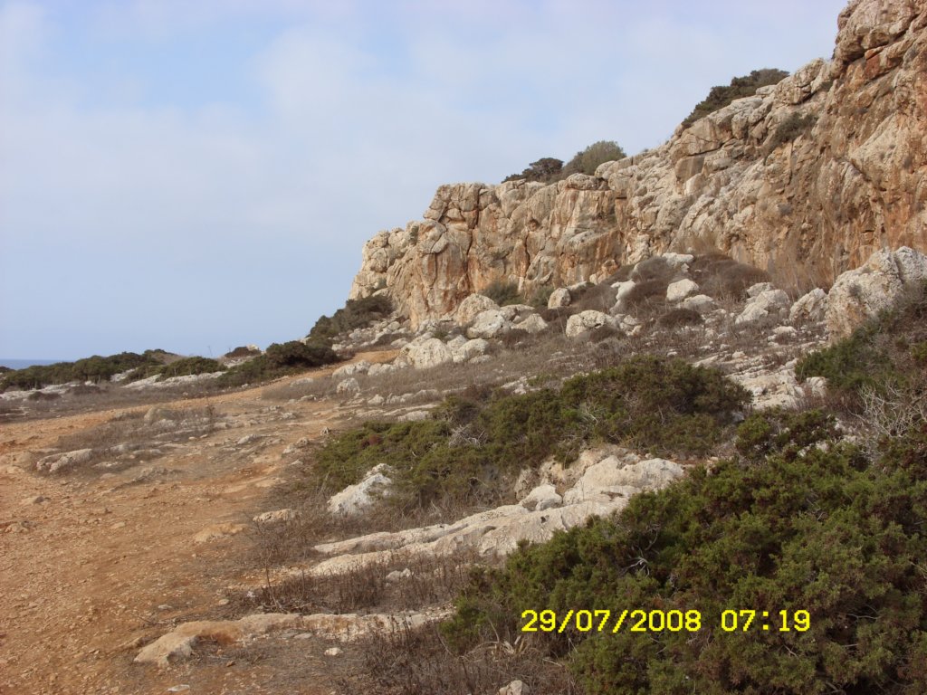 sn850314.jpg