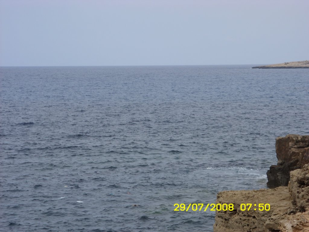 sn850320.jpg