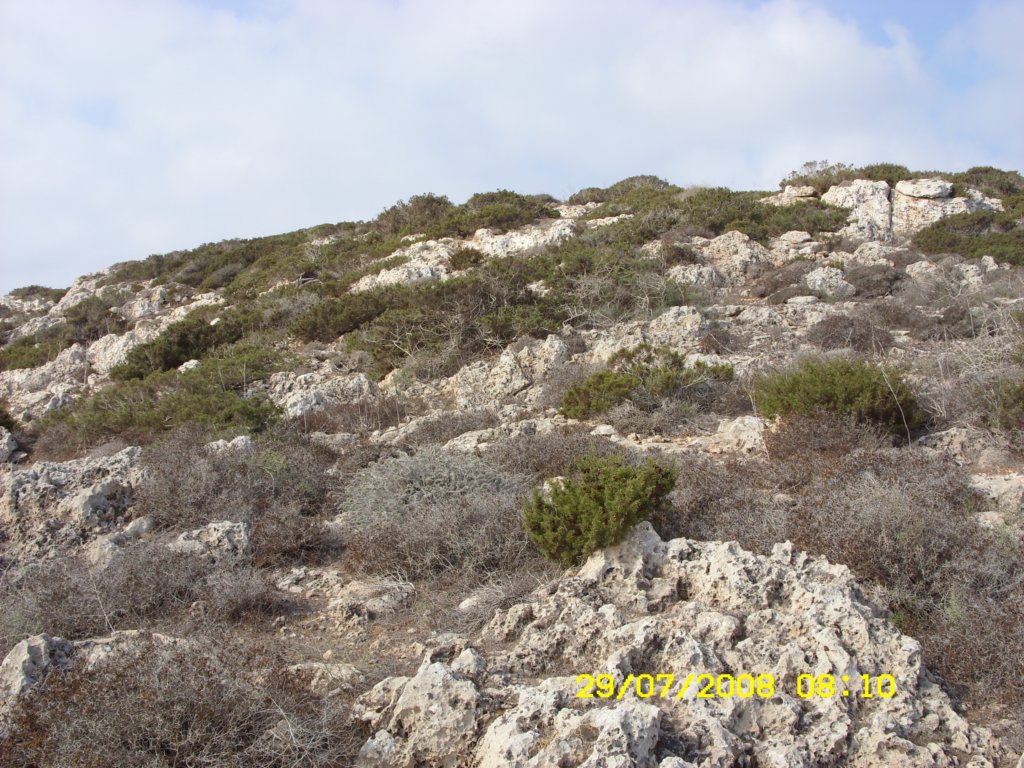 sn850322.jpg
