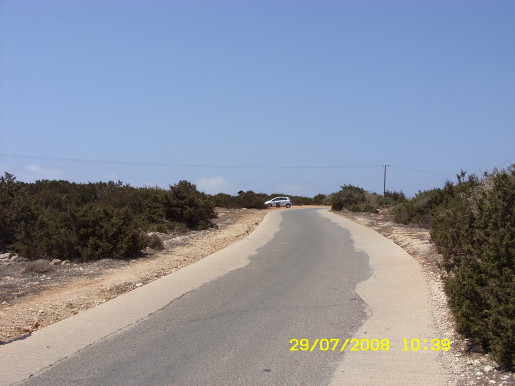 sn850341.jpg