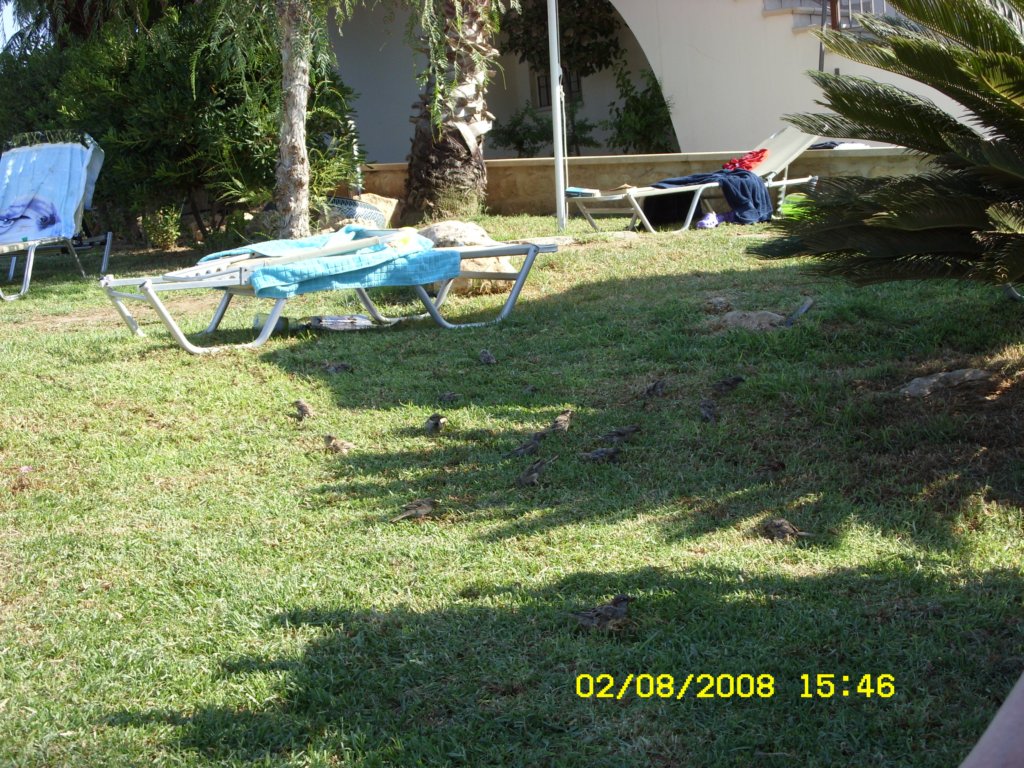 sn850362.jpg