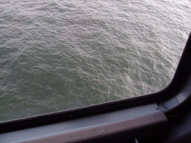 photo204.jpg